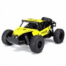 Huajia 1/16 2.4G RWD Off-Road High Speed Remote Control Car HJ209716