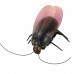 Remote Control Robot Cockroach Beetle For iPhone iPad iPod Touch
