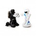 2PCS Remote Radio Control Battle Fighting RC Robot YQ88195