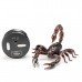 Infrared Electric RC Scorpion Simulation Remote Control Scorpion Model Toy