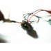 10g Clover 200MW 5.8G FPV Gopro Cable(With Gopro3 Video Cable)
