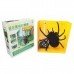 Simulation Tricky Toys 4CH Remote Control Spider