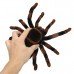 Remote Control 4CH RC Tarantula Spider Scary Toy