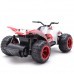 PXtoys 9602 2.4G 1/22 Remote Control Buggy Speed Storm Red Purple Remote Control Car