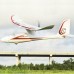 Top Wing Skyeasy 1050mm EPO DSM2 Compatible FPV Glider RC Airplane RTF