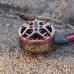 Axisflying AF155 1505 2350KV 3450KV 4-6S Motor for 3-4 Inch Cinewhoop RC Drone FPV Racing