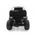 Flytec Remote Control Car 1/10 4CH 6WD Rock Crawler 6x6 Driving Truck Double Motors Big Foot Off-Road Model Toys