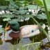 Flytec V201 2.4G 4CH Duck RC Boat Double Motor Hunting Motion Decoy Swimming Pool Floating Toys