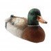 Flytec V201 2.4G 4CH Duck RC Boat Double Motor Hunting Motion Decoy Swimming Pool Floating Toys